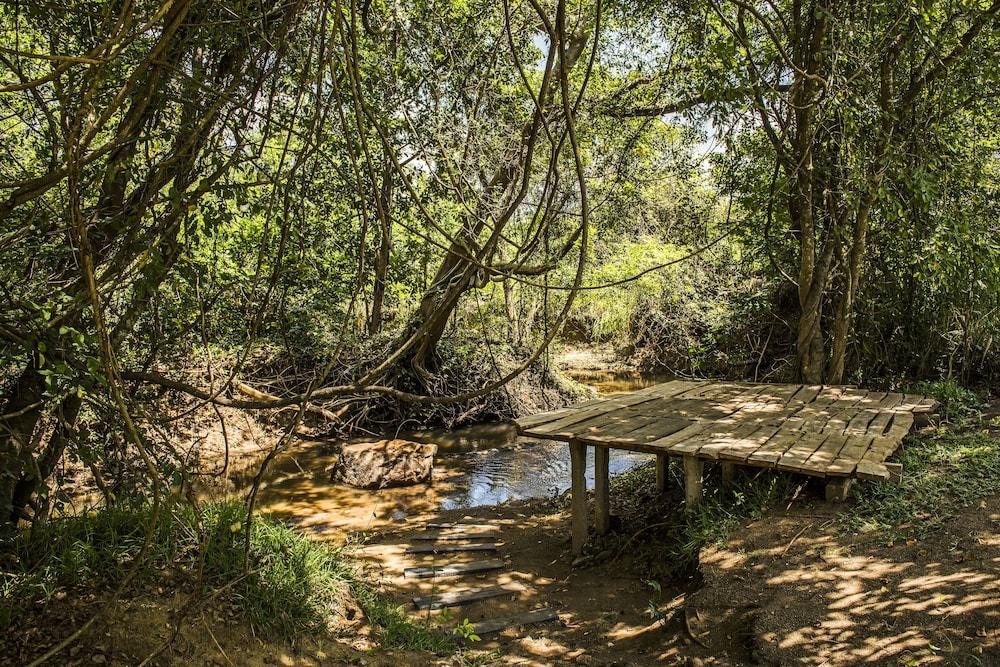 Amaara Forest 5* Sigiriya