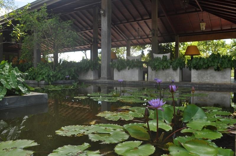 Amaara Forest Hotel