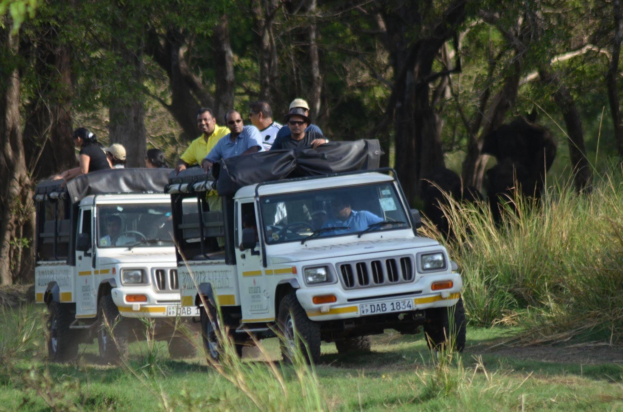 Amaara Forest