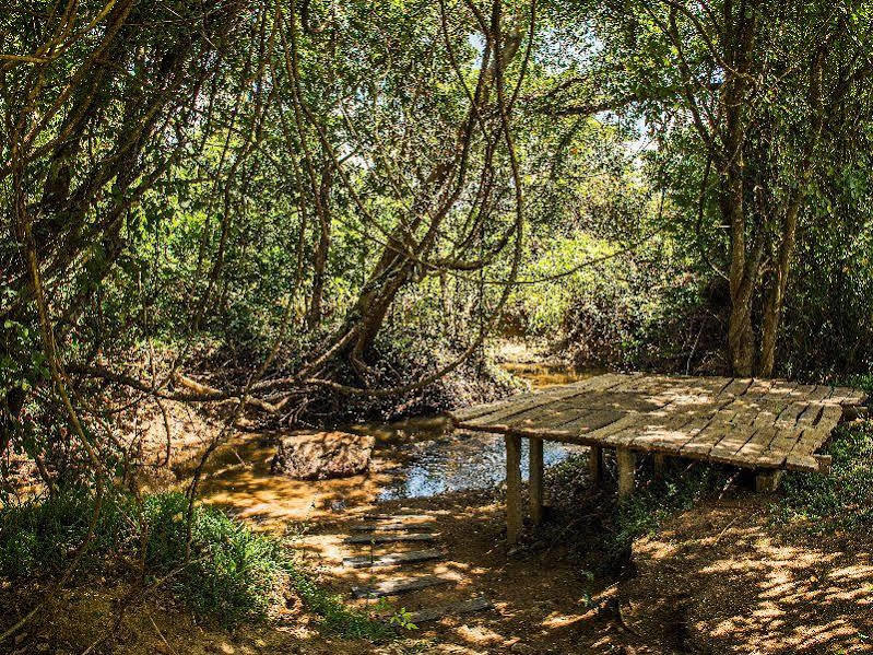 Amaara Forest Sigiriya