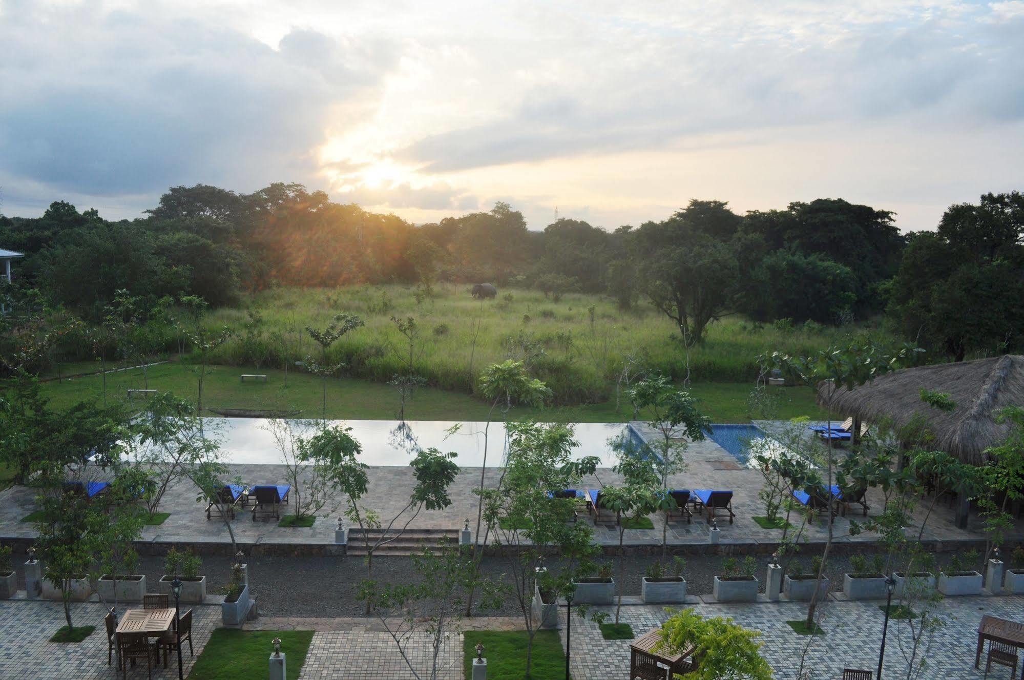 Amaara Forest Hotel Sigiriya