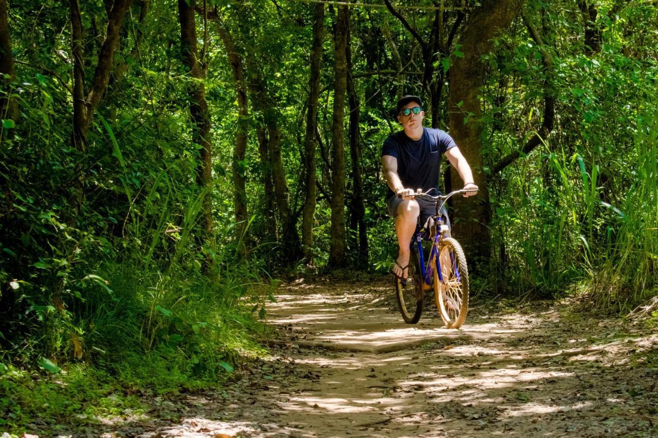 Amaara Forest