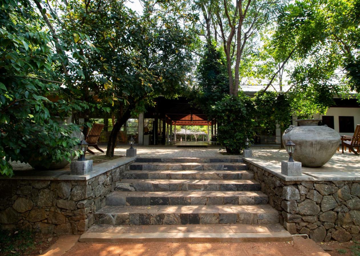 Amaara Forest 5* Sigiriya